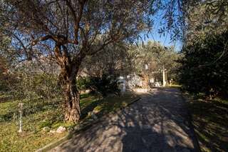 Виллы Villa Olive Garden Бар Вилла с видом на сад-11