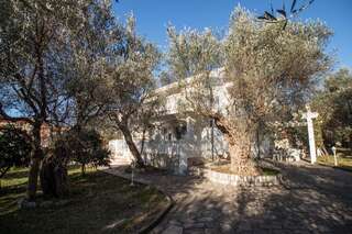 Виллы Villa Olive Garden Бар Вилла с видом на сад-21