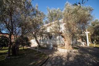 Виллы Villa Olive Garden Бар Вилла с видом на сад-64